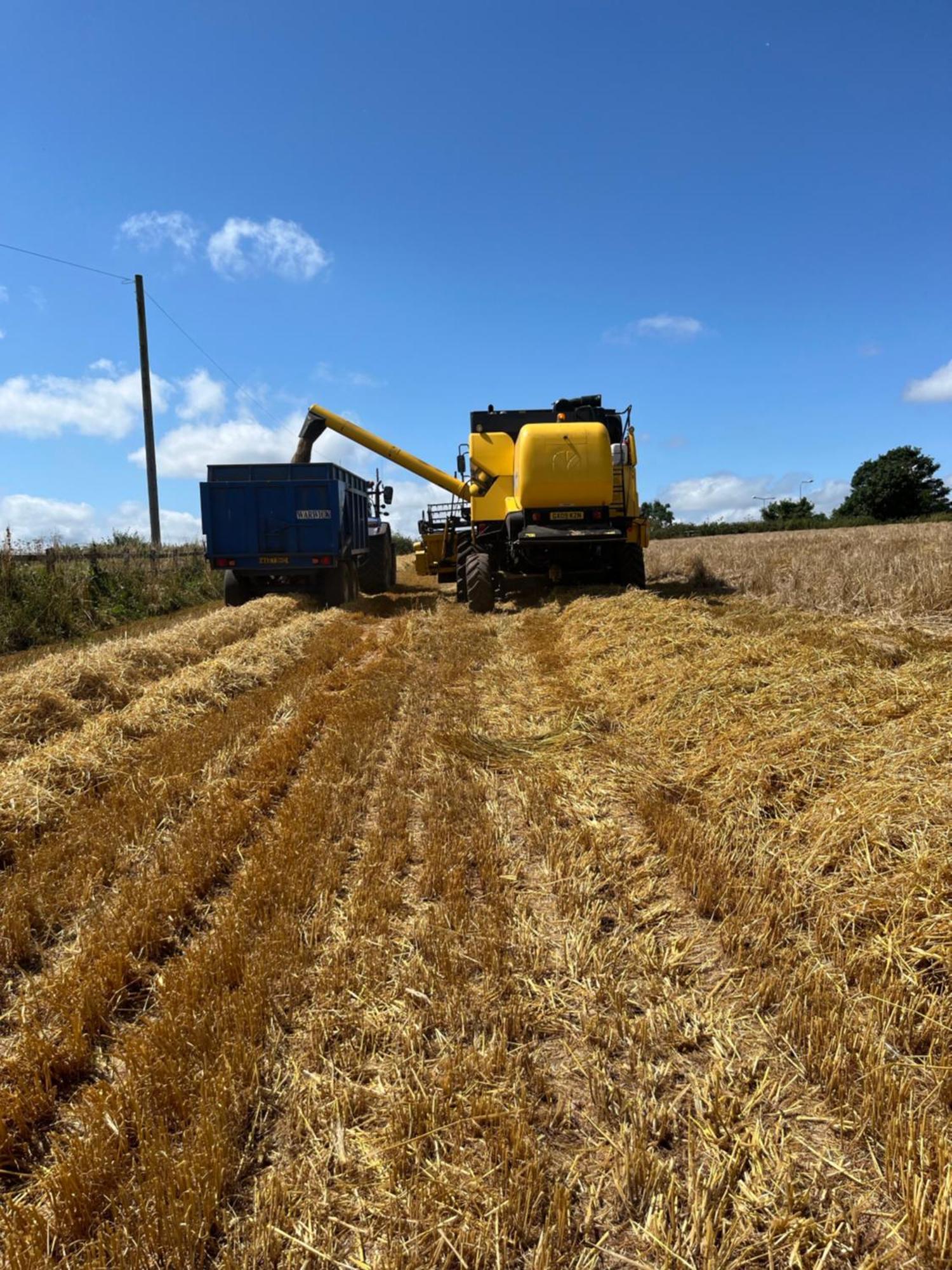 אקסטר Lower Thornton Farm מראה חיצוני תמונה